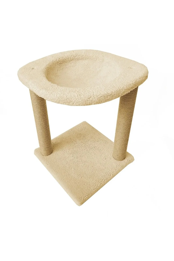 Hamaklı Kedi Tırmalama