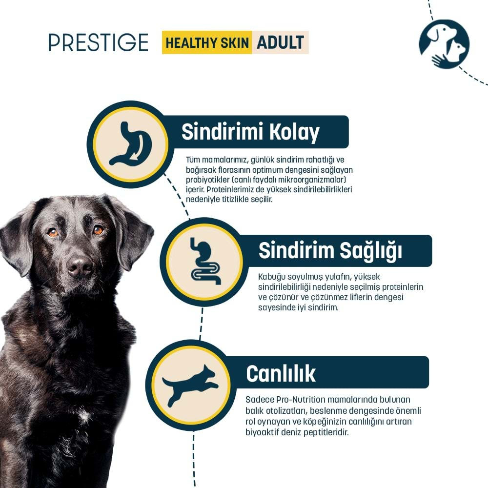 Pro Nutrition Prestige Tahılsız Somonlu Yetişkin Köpek Maması 12KG