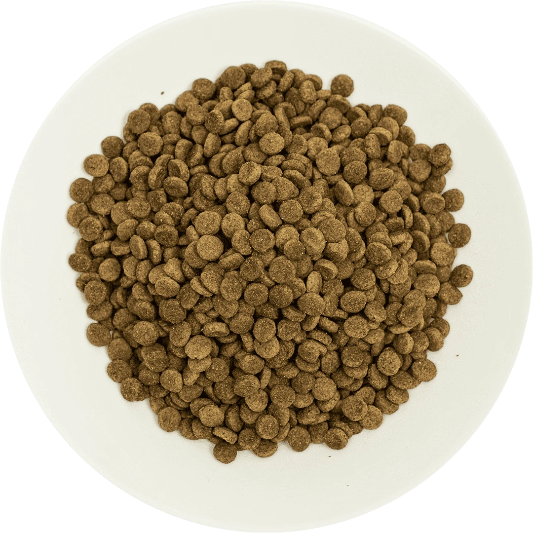 Prochoice Kısırlaştırılmış Kediler İçin, Hipoalerjenik, Somon Balıklı Ve Karidesli Kuru Mama 2 kg