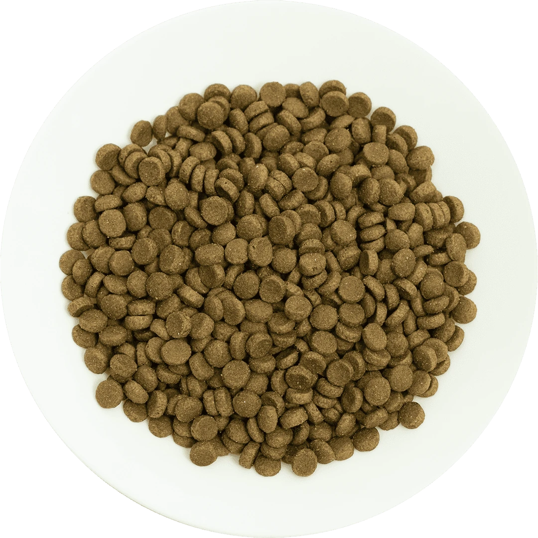 Prochoice Yetişkin Kediler İçin, Hipoalerjenik, Kuzu Etli Ve Pirinçli Kuru Mama 15 kg