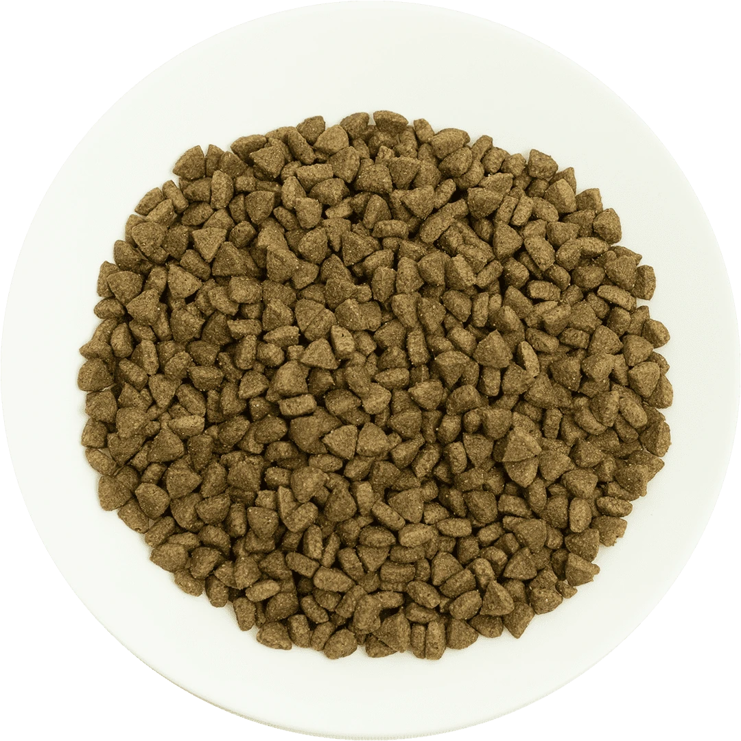 Prochoice Yetişkin Kediler İçin, Hipoalerjenik, Somon Balıklı Ve Pirinçli Kuru Mama 2 kg