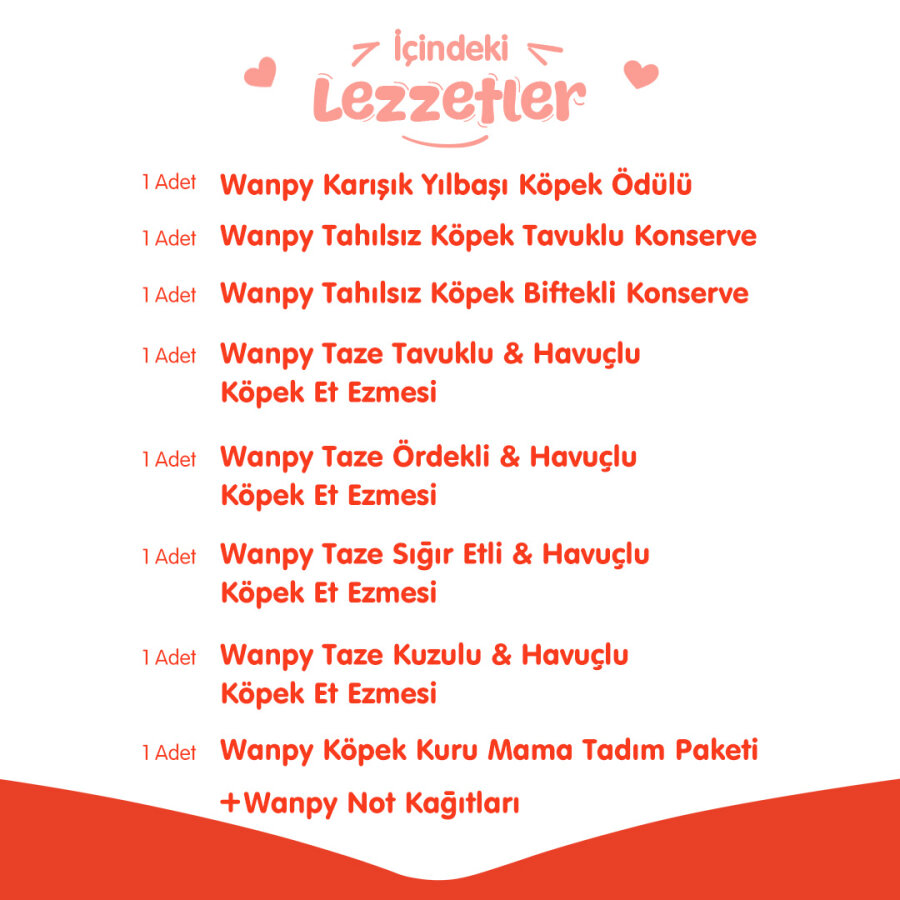 Wanpy Kalp Temalı Köpek Kutu Seti