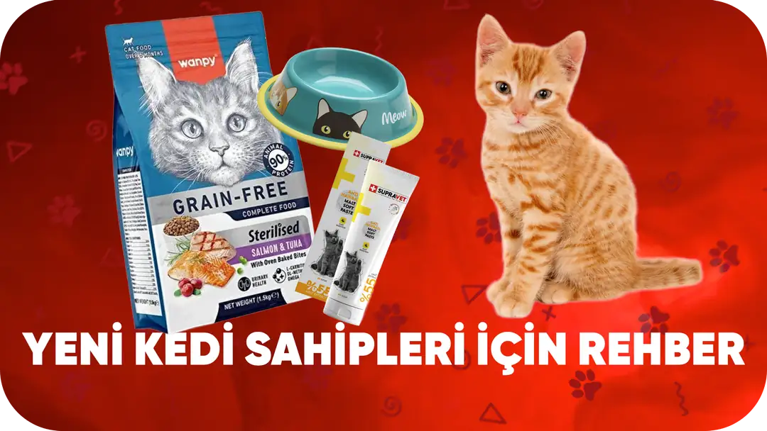 Yeni Kedi Sahipleri İçin Rehber | İlk Günler, Mama Seçimi ve Bakım Önerileri