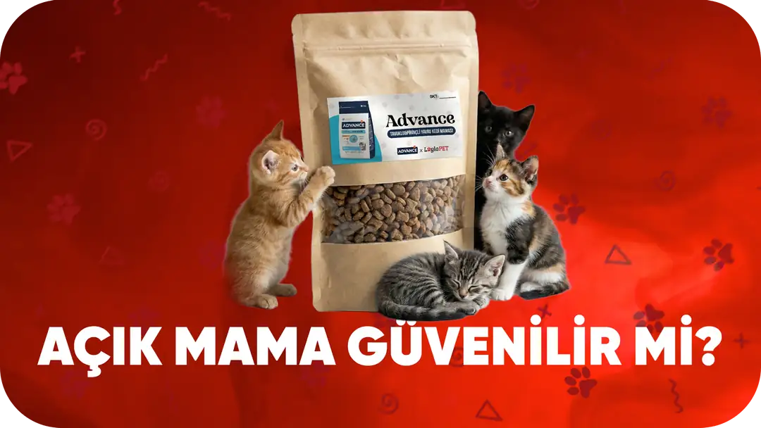 Açık Mama Güvenilir mi? Doğru Açık Mama Seçimi İçin Rehber