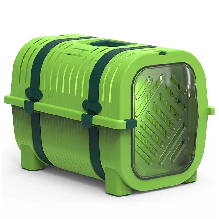 Rainbow Yeşil - Siyah Kemer 51x33x36 cm