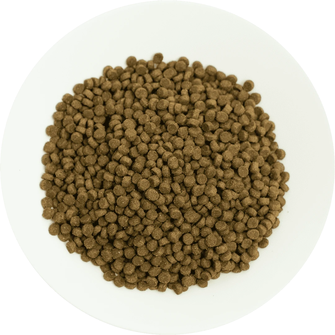 Prochoice Yavru Kediler İçin, Hipoalerjenik, Kuzu Etli Ve Pirinçli Kuru Mama 15 kg