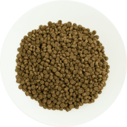 Prochoice Yavru Kediler İçin, Hipoalerjenik, Kuzu Etli Ve Pirinçli Kuru Mama 15 kg