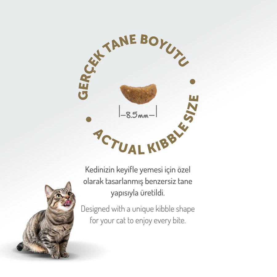Felicia 2 Kg Kolajenli Kuzulu Az Tahıllı Yetişkin Kedi Maması