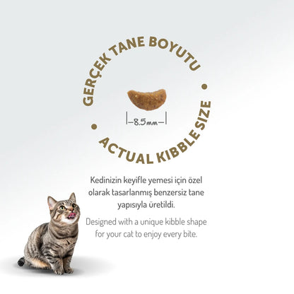 Felicia 2 Kg Kolajenli Kuzulu Az Tahıllı Yetişkin Kedi Maması
