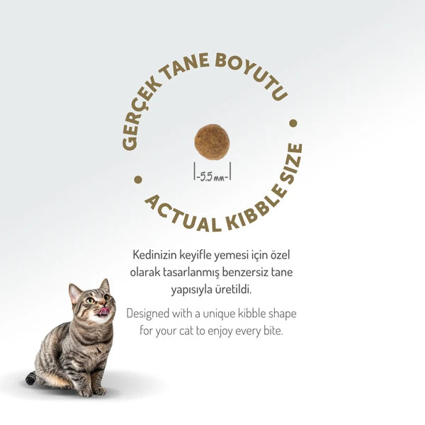 Felicia 2 Kg Kolajenli Kuzulu Az Tahıllı Yavru Kedi Maması HypoAllergenic