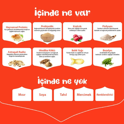 Wanpy Tahılsız Tavuklu Yavru Kedi Maması 8 kg