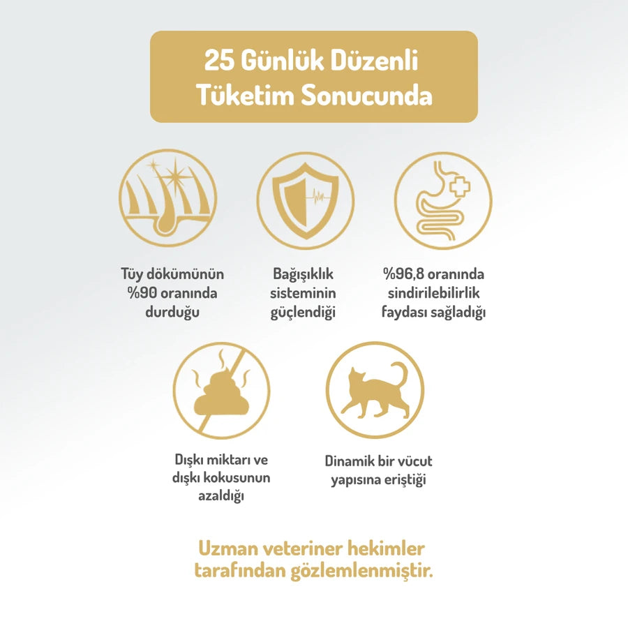 Felicia 2 Kg Kolajenli Tavuklu Az Tahıllı Yavru Kedi Maması HypoAllergenic