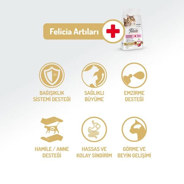 Felicia 2 Kg Kolajenli Kuzulu Az Tahıllı Yavru Kedi Maması HypoAllergenic