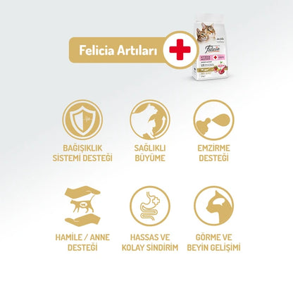Felicia 2 Kg Kolajenli Kuzulu Az Tahıllı Yavru Kedi Maması HypoAllergenic