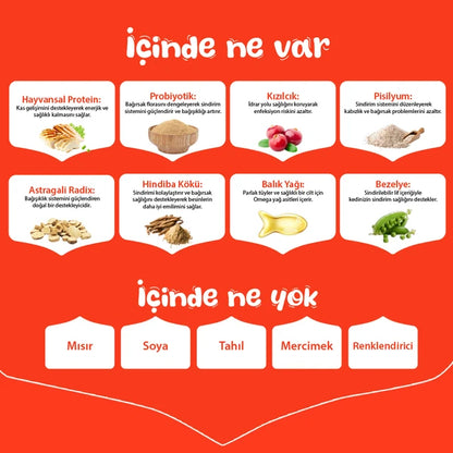 Wanpy Tahılsız Tavuklu Yavru Kedi Maması 1,5 kg