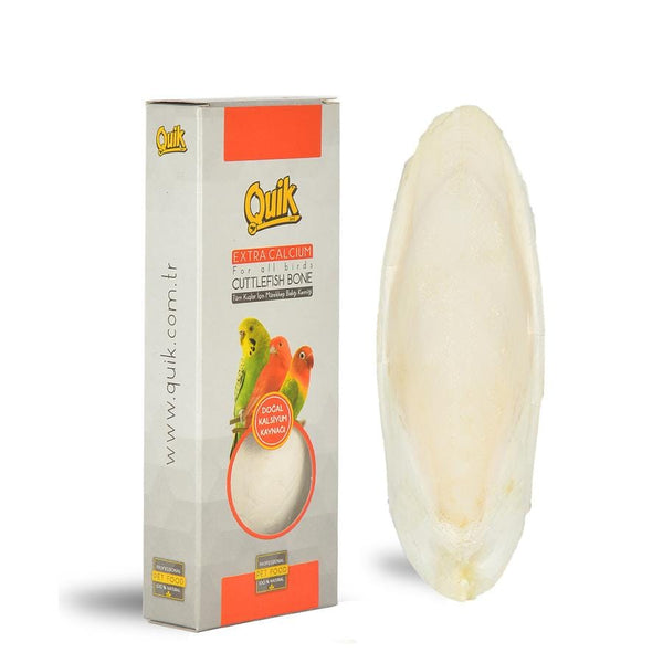 Quik Mürekkep Bal.Kemiği Orta kalamar