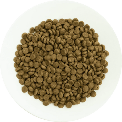 Prochoice Yetişkin Kediler İçin, Hipoalerjenik, Kuzu Etli Ve Pirinçli Kuru Mama 15 kg