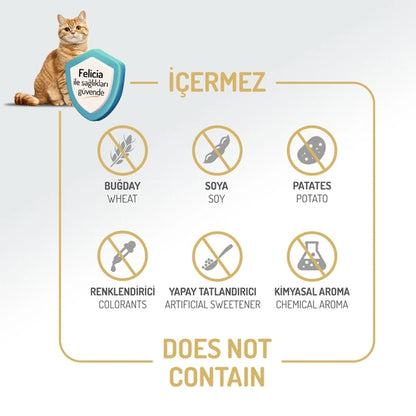 Felicia 2 Kg Kolajenli Kuzulu Az Tahıllı Yavru Kedi Maması HypoAllergenic