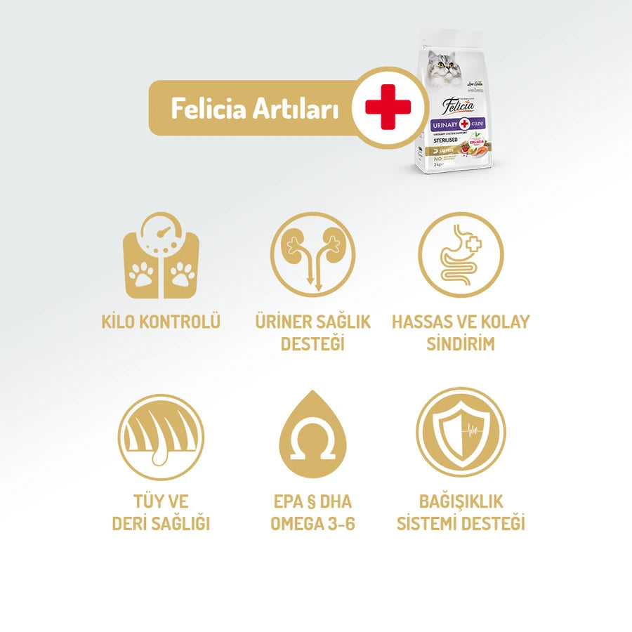 Felicia 2 Kg Kolajenli Somonlu Az Tahıllı Kısırlaştırılmış Kedi Maması HypoAllergenic