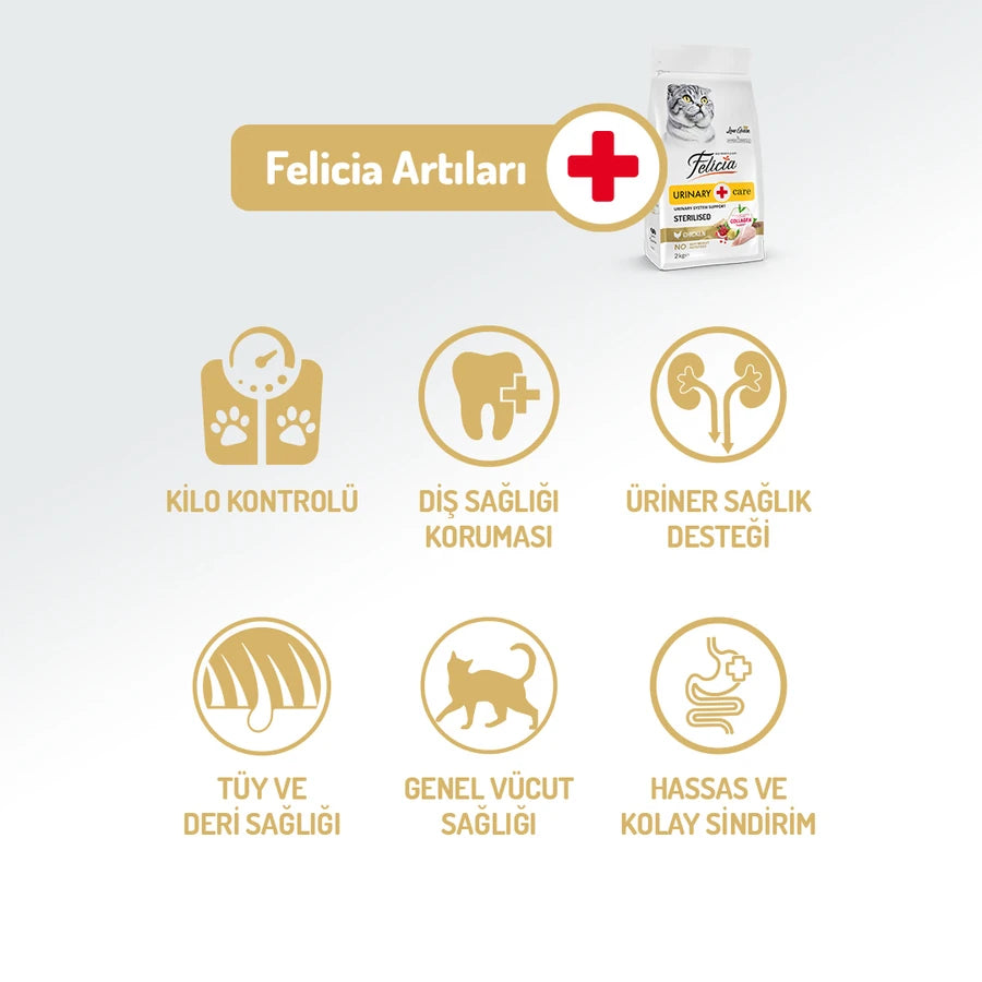 Felicia 2 Kg Kolajenli Tavuklu Az Tahıllı Kısırlaştırılmış Kedi Maması HypoAllergenic 
