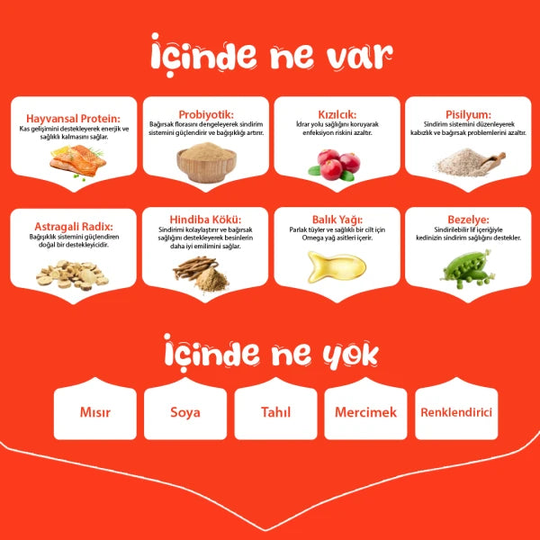 Wanpy Tahılsız Somonlu Yetişkin Kedi Maması 8 kg