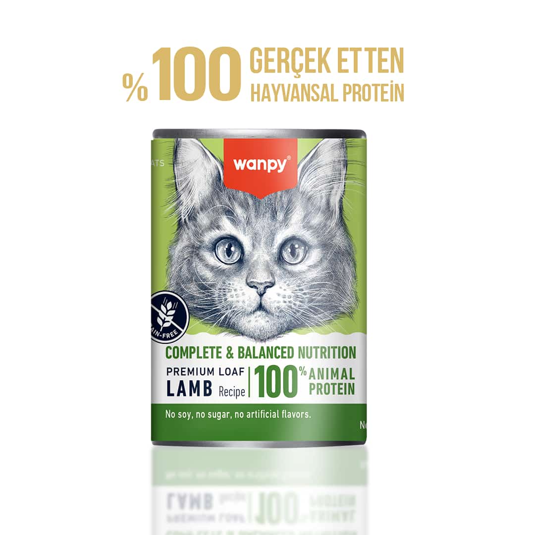 Wanpy Tahılsız Kedi %100 Gerçek Et 375 gr Kuzu Etl Konserve