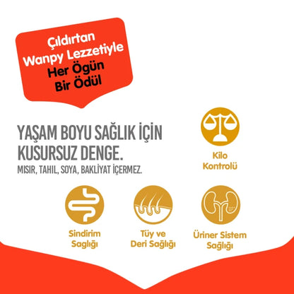 Wanpy Tahılsız Somonlu Yetişkin Kedi Maması 8 kg