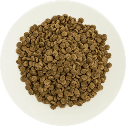 Prochoice Kısırlaştırılmış Kediler İçin, Hipoalerjenik, Somon Balıklı Ve Karidesli Kuru Mama 15 kg