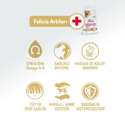 Felicia 2 Kg Kolajenli Tavuklu Az Tahıllı Yavru Kedi Maması HypoAllergenic