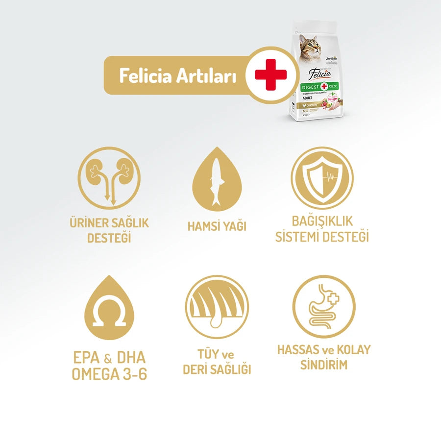 Felicia 2 Kg Kolajenli Tavuklu Az Tahıllı Yetişkin Kedi Maması HypoAllergenic