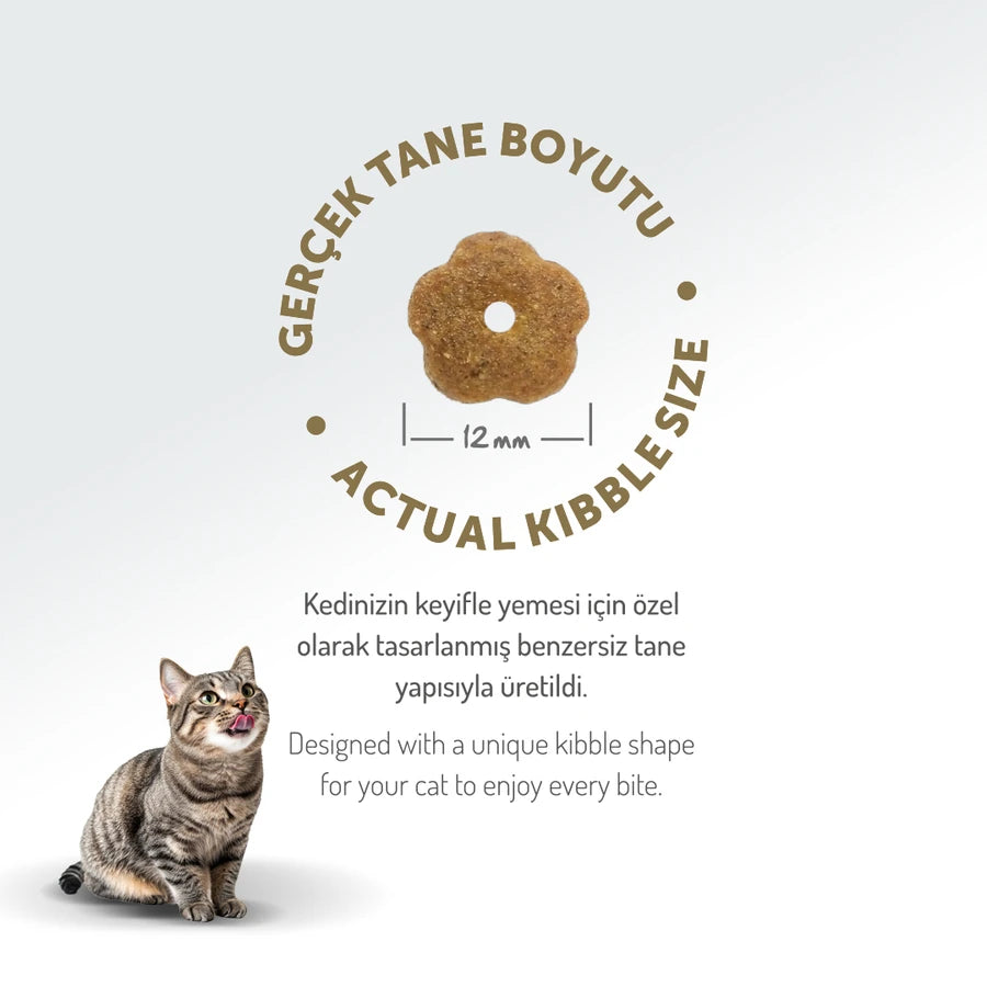 Felicia 2 Kg Kolajenli Tavuklu Az Tahıllı Yetişkin Kedi Maması HypoAllergenic