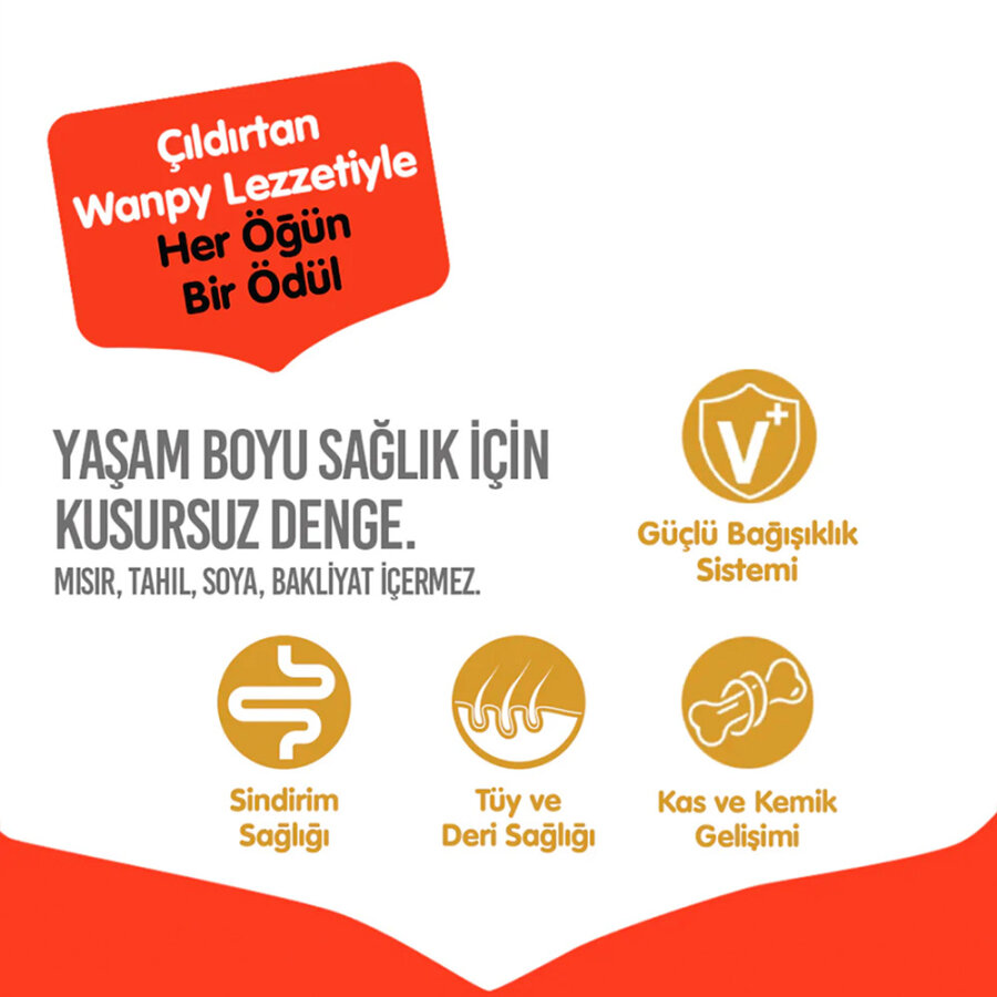 Wanpy Tahılsız Kuzulu Yetişkin Köpek Maması 1,5 kg