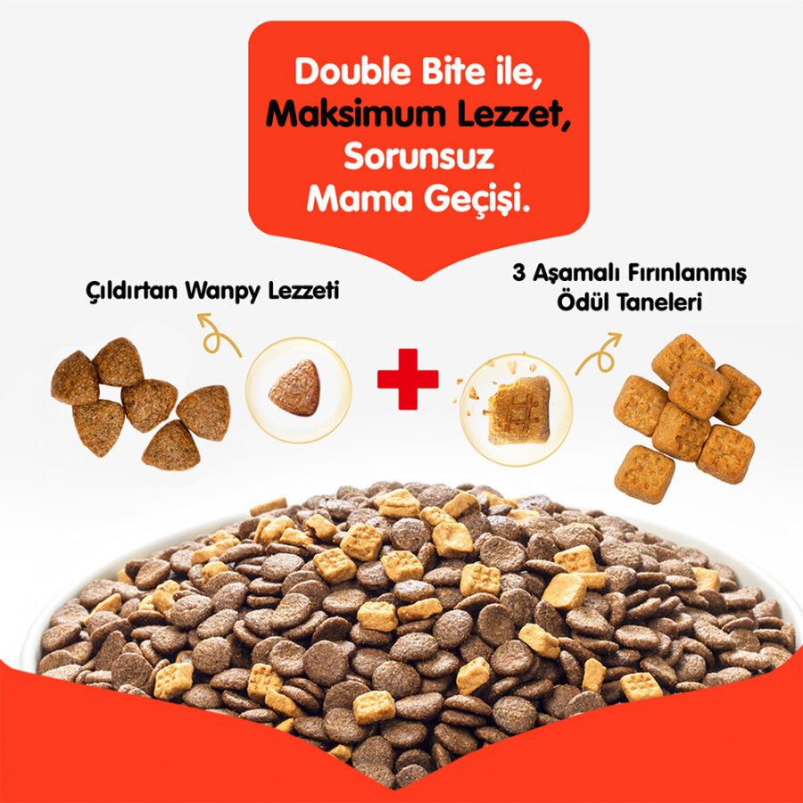 Wanpy Tahılsız Somonlu Yavru Köpek Maması 1,5 kg