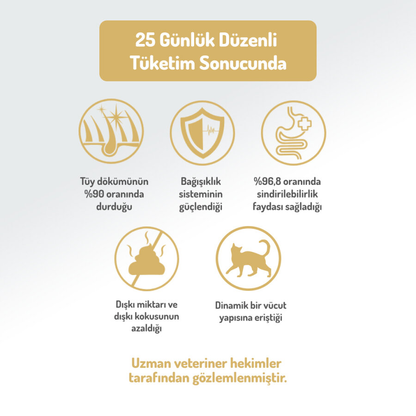 Felicia 5 Kg Kolajenli Somonlu Az Tahıllı Kısırlaştırılmış Kedi Maması