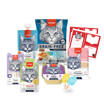 Wanpy Kalp Temalı Kedi Kutu Seti