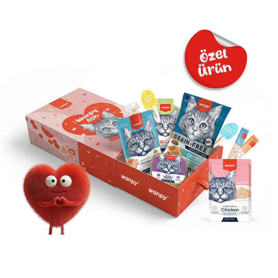 Wanpy Kalp Temalı Kedi Kutu Seti