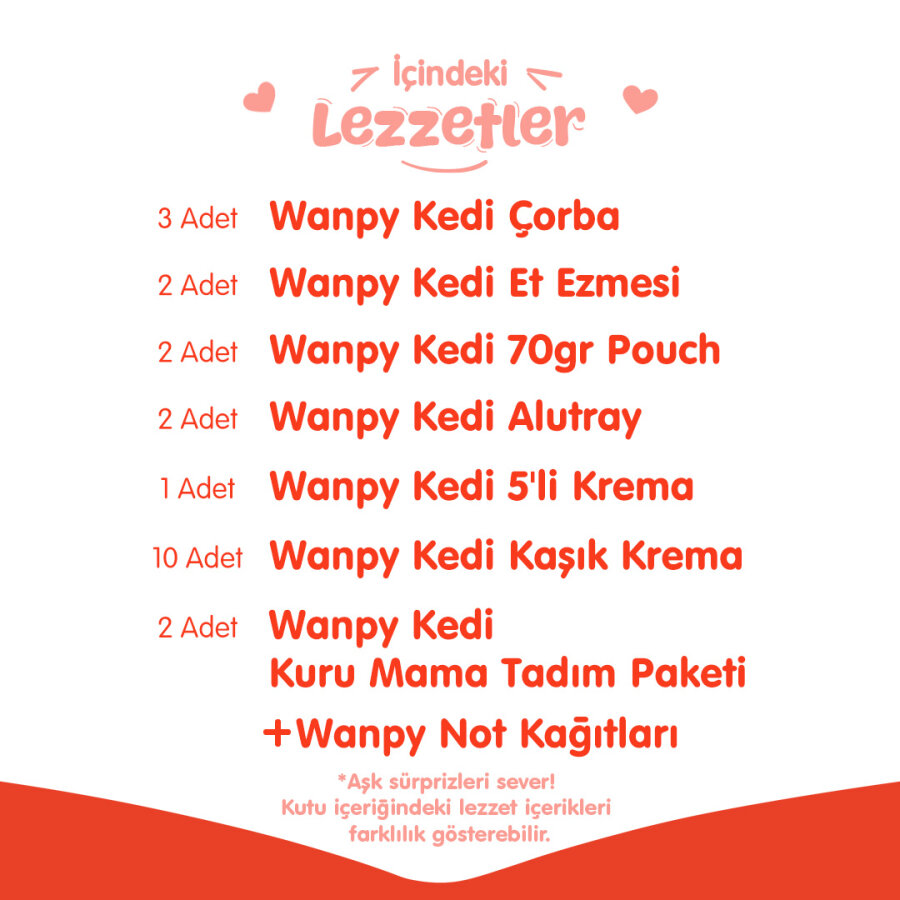 Wanpy Kalp Temalı Kedi Kutu Seti