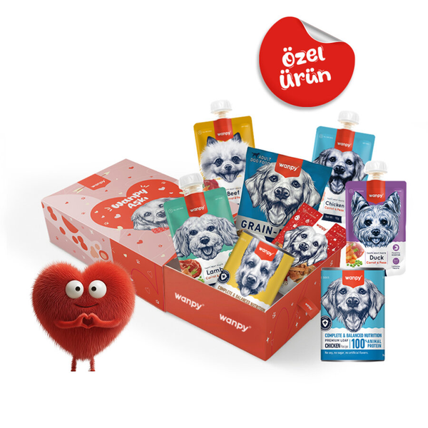 Wanpy Kalp Temalı Köpek Kutu Seti