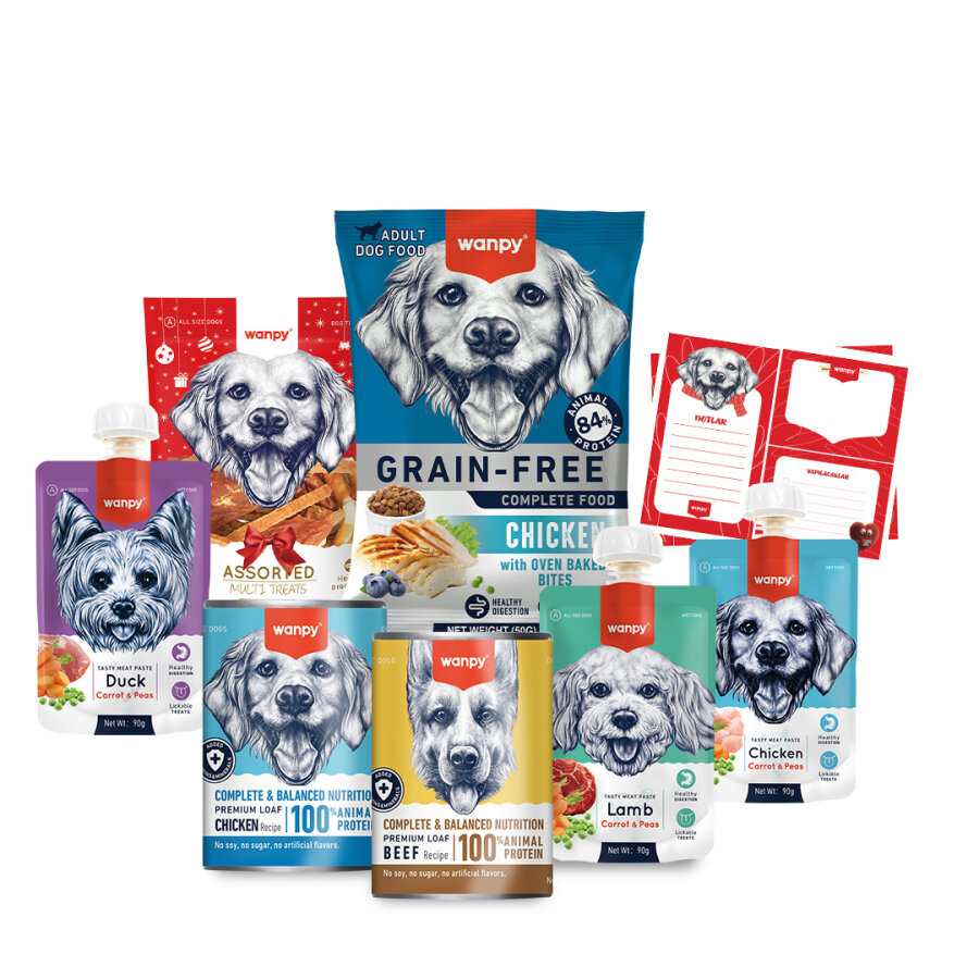 Wanpy Kalp Temalı Köpek Kutu Seti