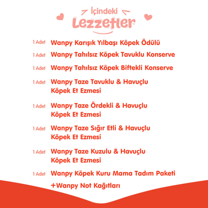 Wanpy Kalp Temalı Köpek Kutu Seti