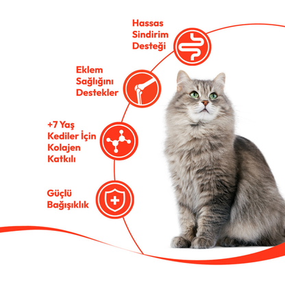 Wanpy Ton Balıklı – 7+ Yaş Kedi Krema Ödülü 5×14 g