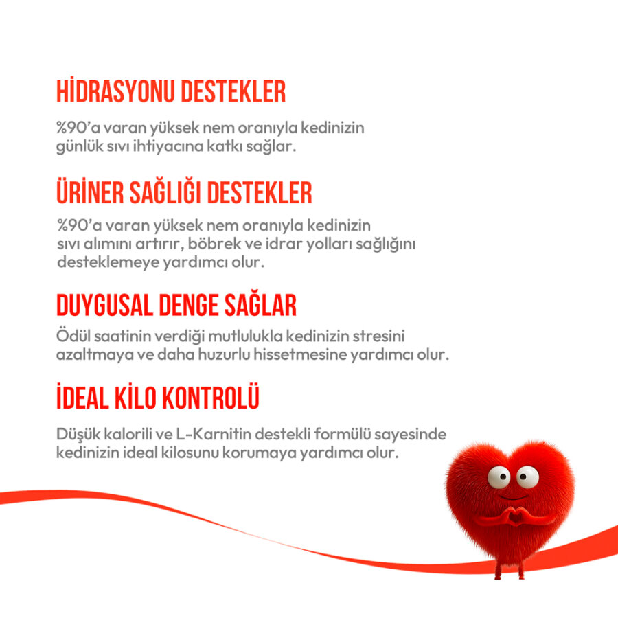 Wanpy Hindi & Kızılcıklı – Kısırlaştırılmış Kedi Krema Ödülü 5×14 g