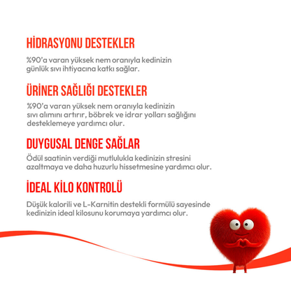 Wanpy Hindi & Kızılcıklı – Kısırlaştırılmış Kedi Krema Ödülü 5×14 g