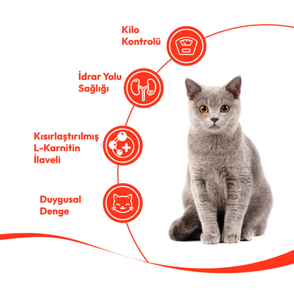 Wanpy Hindi & Kızılcıklı – Kısırlaştırılmış Kedi Krema Ödülü 5×14 g