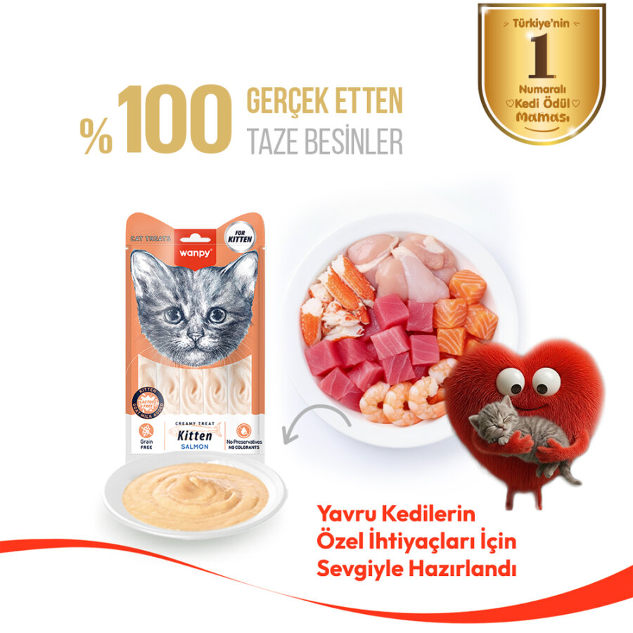 Wanpy Somonlu - Yavru Kedi Krema Ödülü 5x14 g