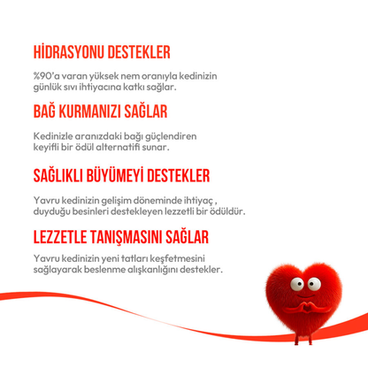 Wanpy Somonlu - Yavru Kedi Krema Ödülü 5x14 g