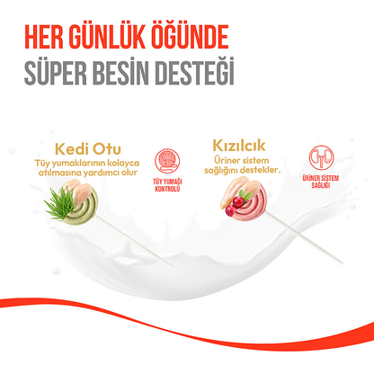 Wanpy Kediler İçin Dondurularak Kurutulmuş Swirlpop – Kedi Otu - 1.4 g (10 Adet)