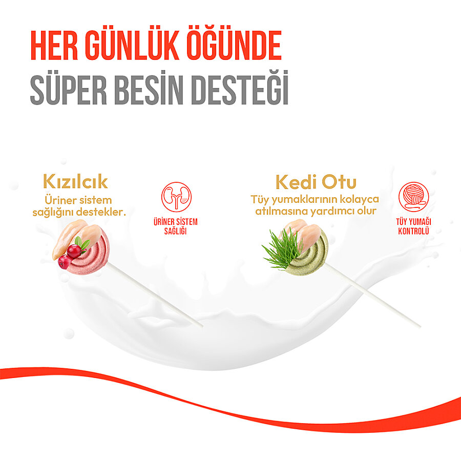 Wanpy Kediler İçin Dondurularak Kurutulmuş Swirlpop – Kızılcık - 1.4 g